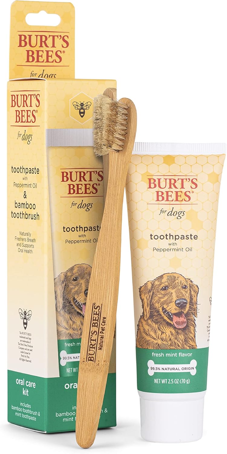 BB DENTAL CARE KIT DOG